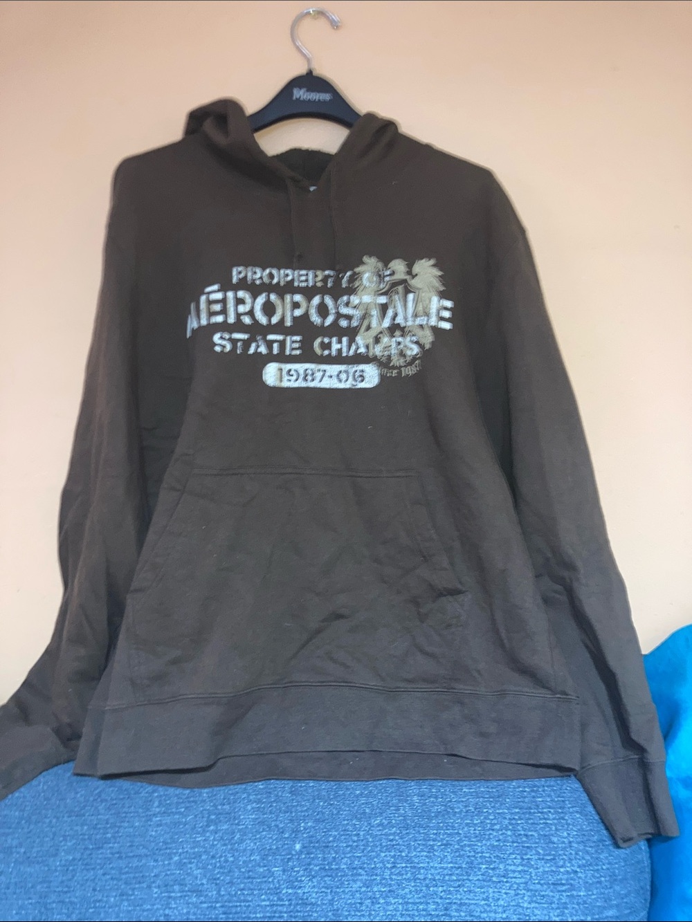 Vintage Aeropostale Brown Crewneck Hoodie with Palm Logo